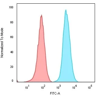 Flow Cytometry - Anti-CD74 antibody [CLIP/3127R] - BSA and Azide free (AB270296)
