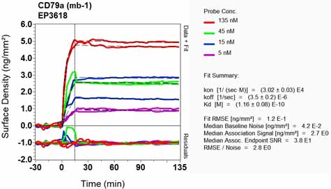 OI-RD Scanning - Anti-CD79a antibody [EP3618] (ab79414), expandable thumbnail