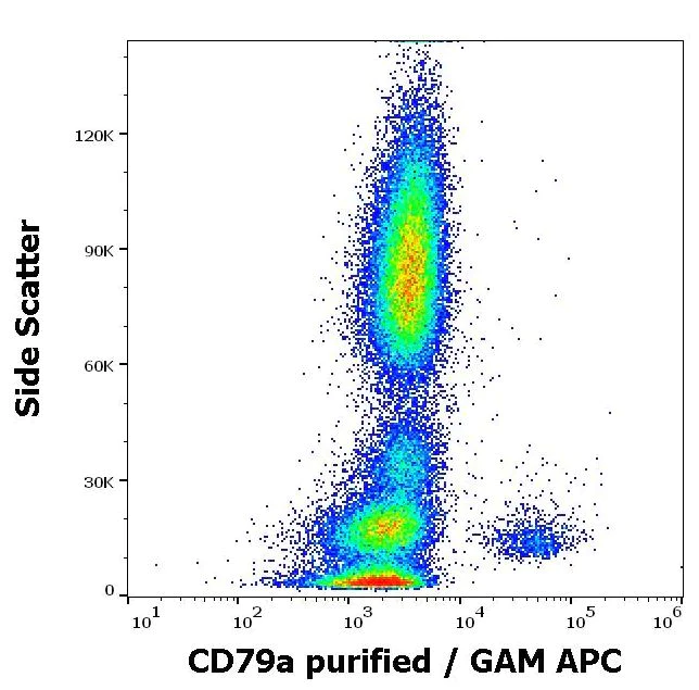 Flow Cytometry (Intracellular) - Anti-CD79a antibody [HM47] - C-terminal (AB176509)