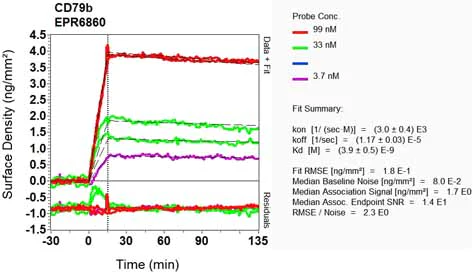 OI-RD Scanning - Anti-CD79b antibody [EPR6860] (AB134103)