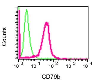 Flow Cytometry - Anti-CD79b antibody [EPR6860] - BSA and Azide free (AB248684), expandable thumbnail