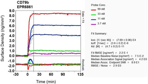 OI-RD Scanning - Anti-CD79b antibody [EPR6861] (AB134147)