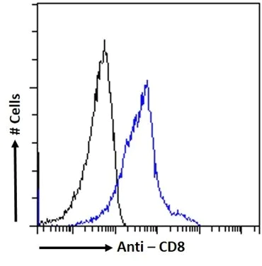 Flow Cytometry - Anti-CD8 alpha Antibody [Bu88] (AB316355)