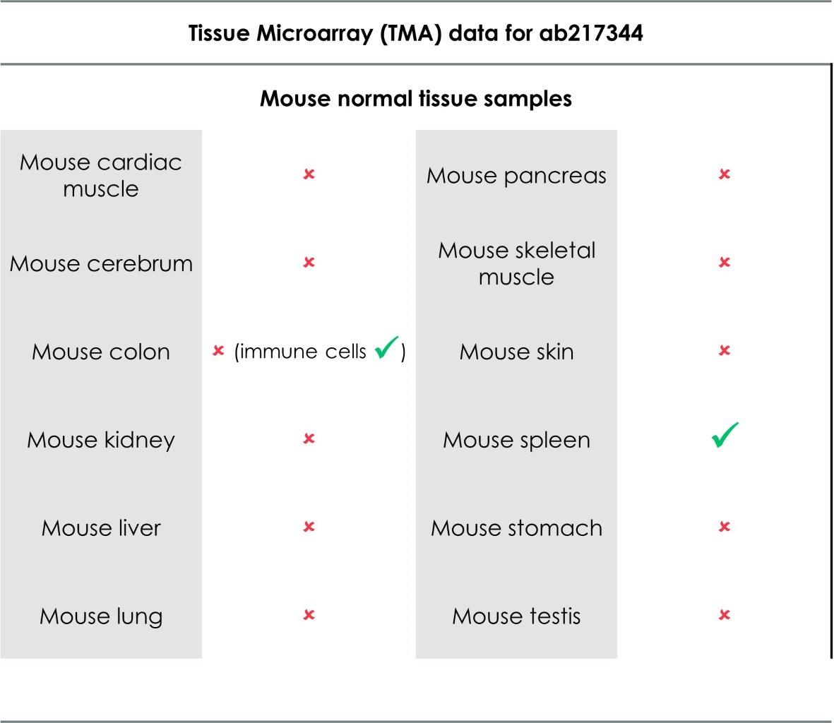 Immunohistochemistry (Formalin/PFA-fixed paraffin-embedded sections) - Anti-CD8 alpha antibody [EPR21769] - BSA and Azide free (ab230156), expandable thumbnail