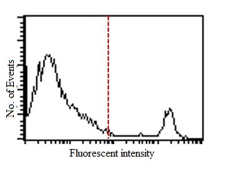Flow Cytometry - Anti-CD8 alpha antibody [IBL-3/25] (AB3081), expandable thumbnail