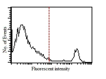 Flow Cytometry - Anti-CD8 alpha antibody [IBL-3/25] (AB3081)