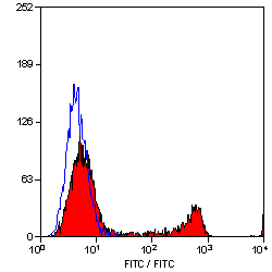 Anti-CD8 alpha antibody [YTC182.20] (ab60076) | Abcam
