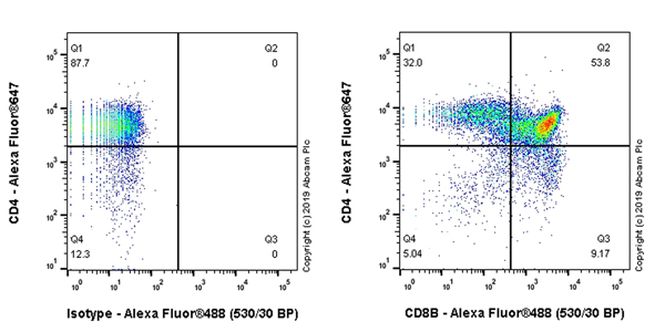 Flow Cytometry - Anti-CD8 beta antibody [EPR22331-81] - BSA and Azide free (AB263956)