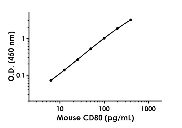 Sandwich ELISA - Anti-CD80 antibody [EPR22127-250] - BSA and Azide free (Detector) (AB259572), expandable thumbnail