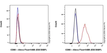 Flow Cytometry - Anti-CD80 antibody [EPR22127-251] - BSA and Azide free (AB238649)