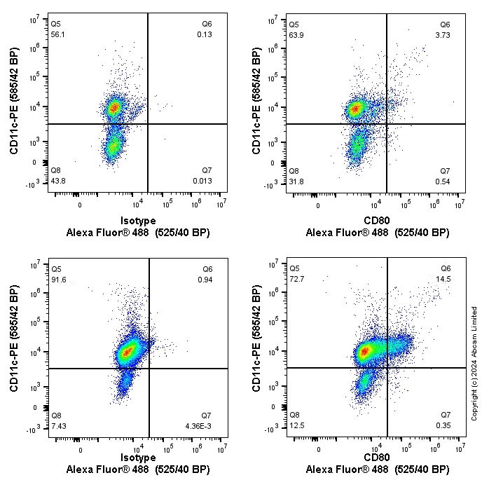 Flow Cytometry - Anti-CD80 antibody [EPR22127-251] - BSA and Azide free (AB238649)
