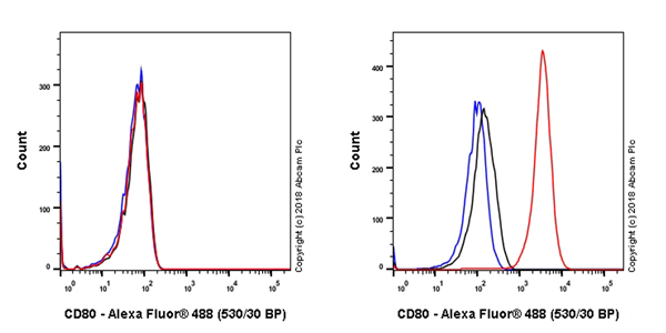 Flow Cytometry - Anti-CD80 antibody [EPR22183] - BSA and Azide free (AB238648)