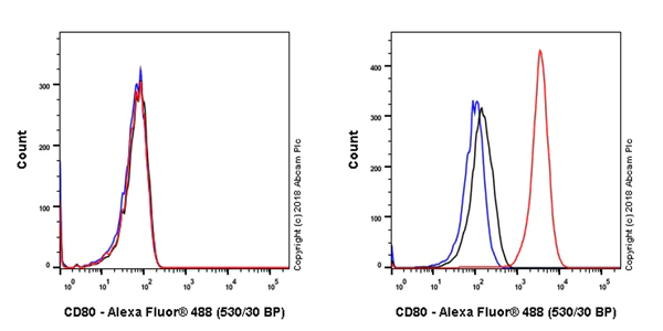 Flow Cytometry - Anti-CD80 antibody [EPR22183] - BSA and Azide free (AB238648)