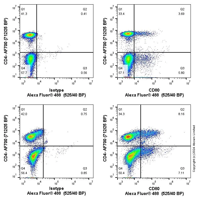 Flow Cytometry - Anti-CD80 antibody [EPR22183] - BSA and Azide free (AB238648)