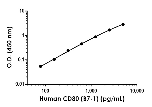 Sandwich ELISA - Anti-CD80 antibody [EPR22389-95] - BSA and Azide free (Detector) (AB242342)