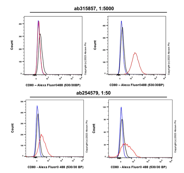 Flow Cytometry - Anti-CD80 antibody [RM1104] (AB315857)