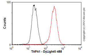Flow Cytometry - Anti-CD81 antibody [TS81] - BSA and Azide free (AB59477)