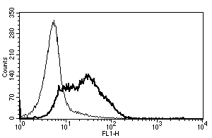 Flow Cytometry - Anti-CD82 antibody [B-L2] - BSA and Azide free (AB47153)