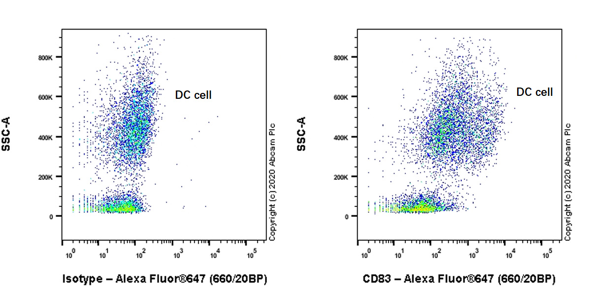 Flow Cytometry - Anti-CD83 antibody [HB15e] - BSA and Azide free (AB240534), expandable thumbnail