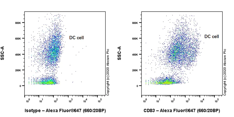 Flow Cytometry - Anti-CD83 antibody [HB15e] - BSA and Azide free (AB240534)