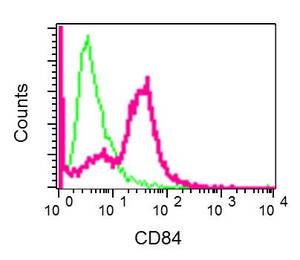 Flow Cytometry - Anti-CD84 antibody [EPR8324] - BSA and Azide free (AB226163), expandable thumbnail