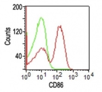 Flow Cytometry - Anti-CD86 antibody [BU63] (AB234000), expandable thumbnail