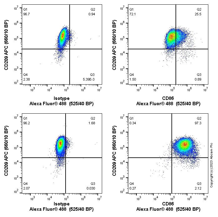 Flow Cytometry - Anti-CD86 antibody [EPR21962] (AB239075)