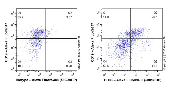 Flow Cytometry - Anti-CD86 antibody [EPR22958-106] (AB242142), expandable thumbnail