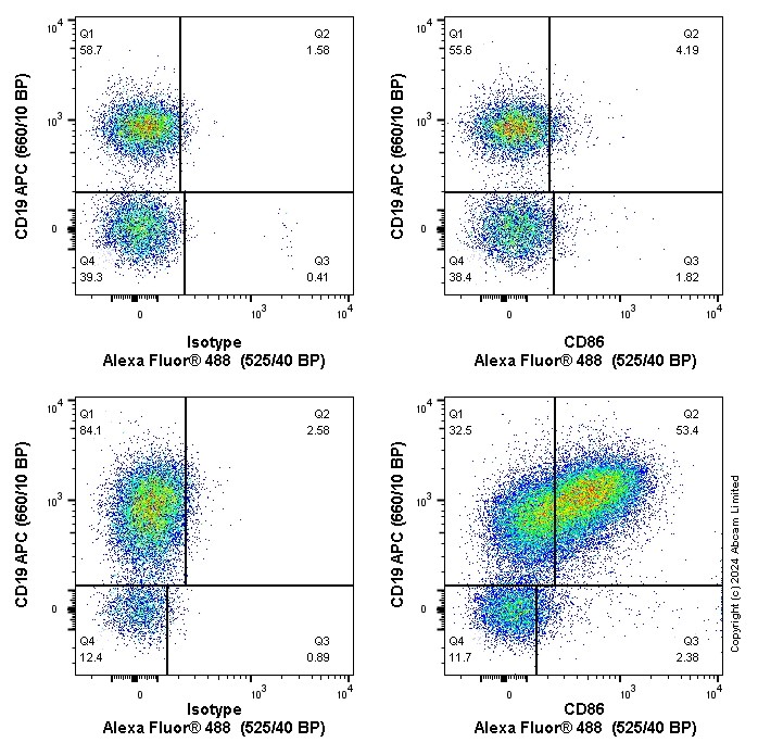 Flow Cytometry - Anti-CD86 antibody [EPR22958-106] (AB242142), expandable thumbnail