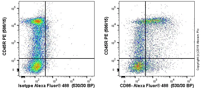 Flow Cytometry - Anti-CD86 antibody [OX48] (AB238468)
