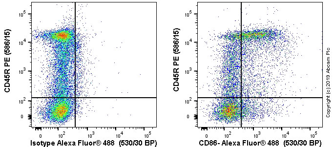 Flow Cytometry - Anti-CD86 antibody [OX48] - BSA and Azide free (AB244583), expandable thumbnail