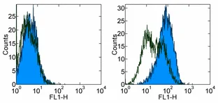 Flow Cytometry - Anti-CD86 antibody [PO3.1] - Low endotoxin, Azide free (AB171221)