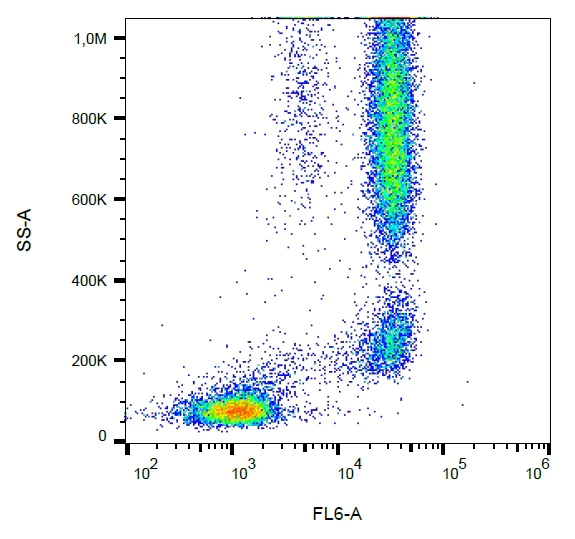 Flow Cytometry - Anti-CD89 antibody [A59] (AB234188)
