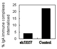 Functional Studies (Neut/Block) - Anti-CD89 antibody [MIP7c] (AB53357)