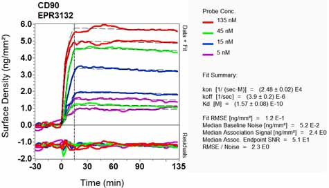 OI-RD Scanning - Anti-CD90 / Thy1 antibody [EPR3132] (ab92574), expandable thumbnail