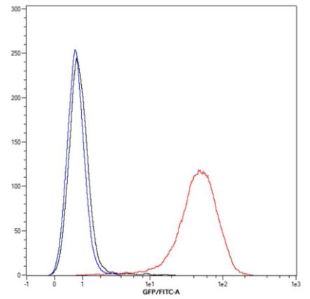 Flow Cytometry - Anti-CD90 / Thy1 antibody [H169V2/L1D33V1] - BSA and Azide free (AB288825), expandable thumbnail