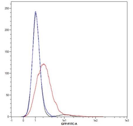Flow Cytometry - Anti-CD90 / Thy1 antibody [H169V2/L1D33V1] - BSA and Azide free (AB288825), expandable thumbnail