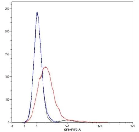 Flow Cytometry - Anti-CD90 / Thy1 antibody [H169V2/L1D33V1] - BSA and Azide free (AB288825)