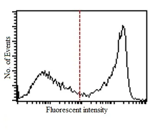 Flow Cytometry - Anti-CD90 / Thy1 antibody [IBL-6/23] (AB3105)