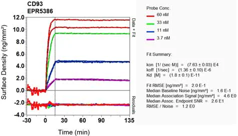 OI-RD Scanning - Anti-CD93 antibody [EPR5386] - BSA and Azide free (AB248674)