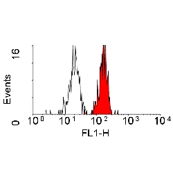 Flow Cytometry - Anti-CD98 antibody [44D7] - Plasma Membrane Marker (AB23495)
