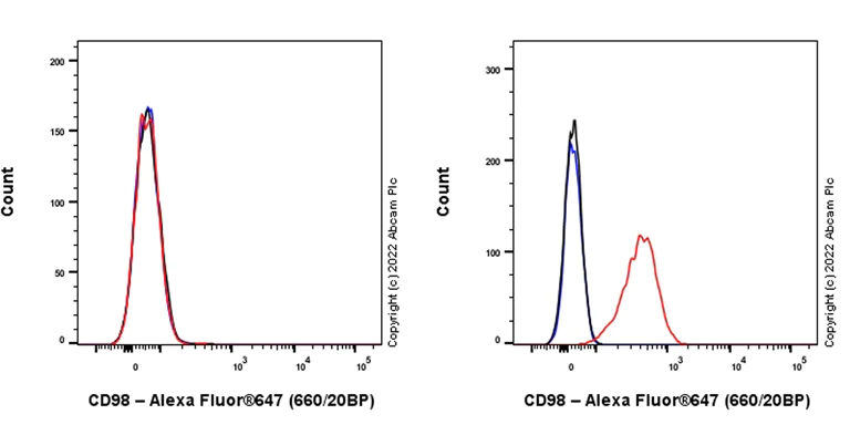 Flow Cytometry - Anti-CD98 antibody [EPR27110-42] (AB307587)