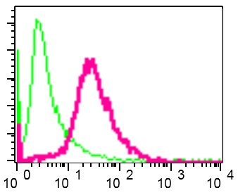 Flow Cytometry - Anti-CD99 antibody [EPR3096] - BSA and Azide free (AB226021), expandable thumbnail