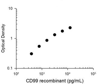 ELISA - Anti-CD99 antibody [M026] - Extracellular domain (AB253291)
