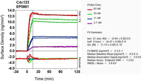 OI-RD Scanning - Anti-CDC123 antibody [EP5861] - BSA and Azide free (AB226111)
