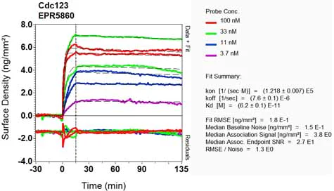 OI-RD Scanning - Anti-CDC123 antibody [EPR5860] - BSA and Azide free (AB226095)