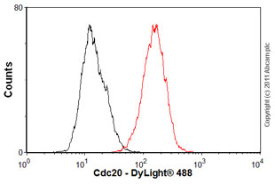 Flow Cytometry - Anti-Cdc20 antibody [BA8] (AB18217)
