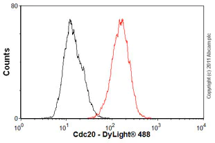 Flow Cytometry - Anti-Cdc20 antibody [BA8] (AB18217)