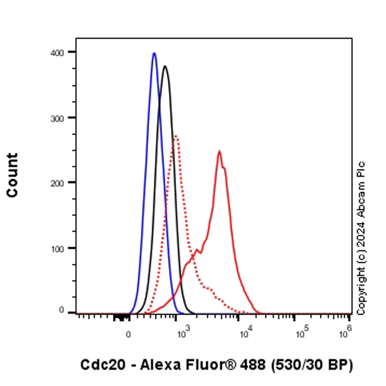Flow Cytometry (Intracellular) - Anti-Cdc20 antibody [EPR28091-55] (AB317036)