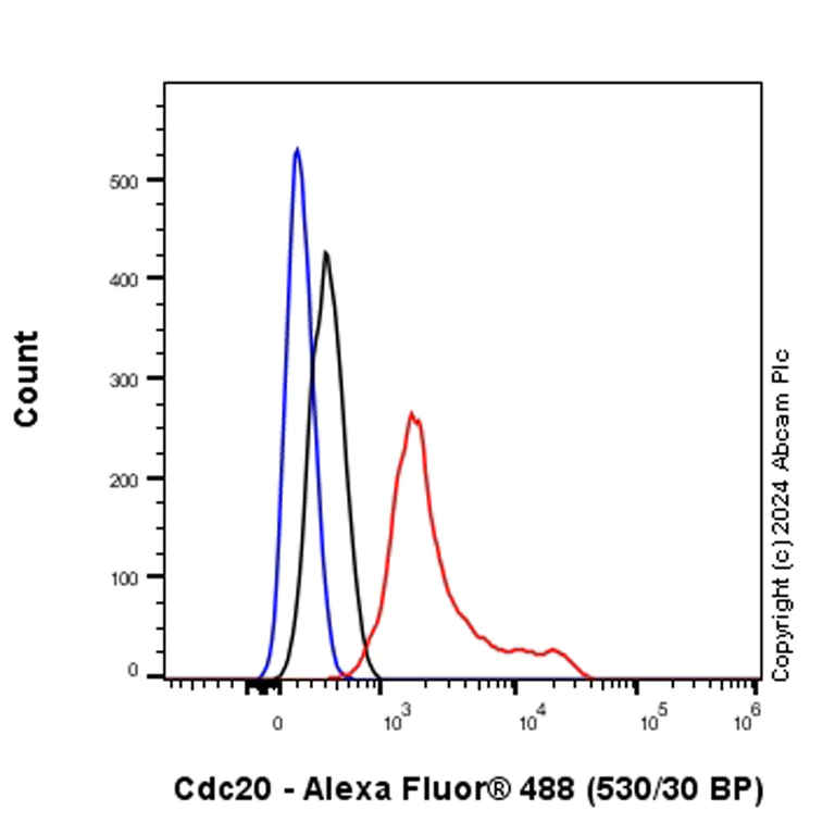 Flow Cytometry (Intracellular) - Anti-Cdc20 antibody [EPR28091-55] - BSA and Azide free (AB317037)